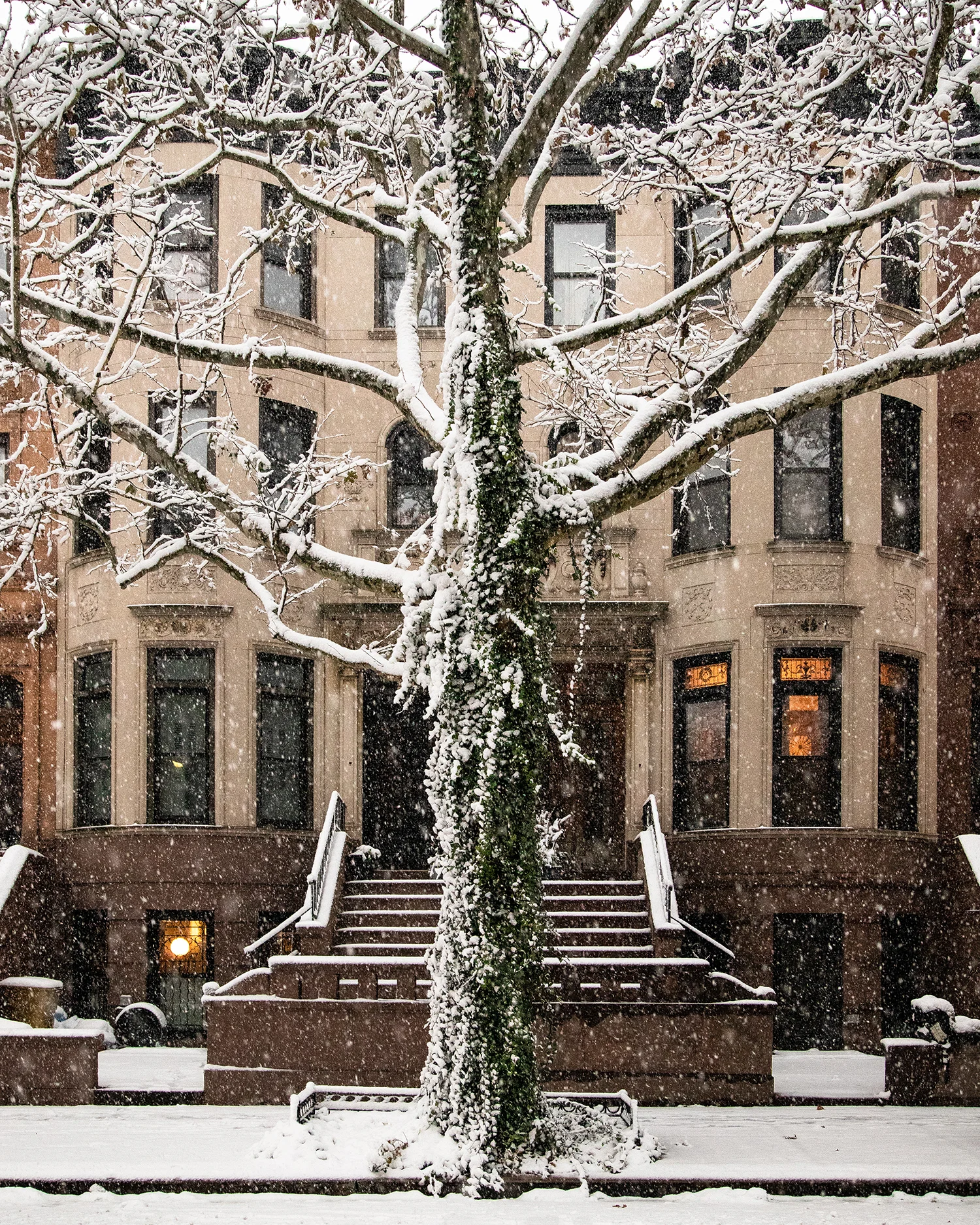 snowy ny small.jpg