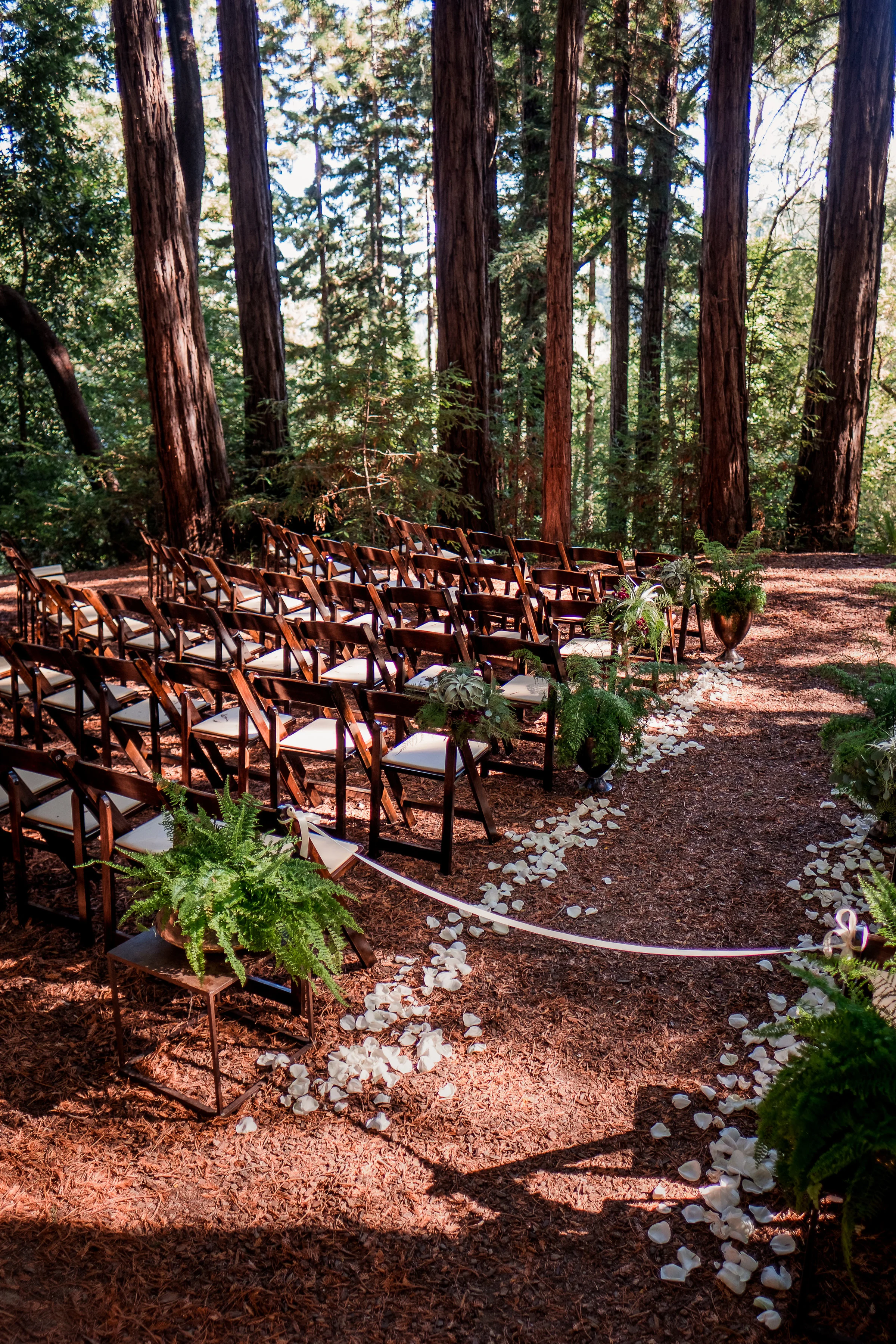 Magical Woodland California Wedding Venue, Sequoia Retreat Center Wedding, Art & Soul Events, Nordica Photography, Ceremony Space surrounded by trees