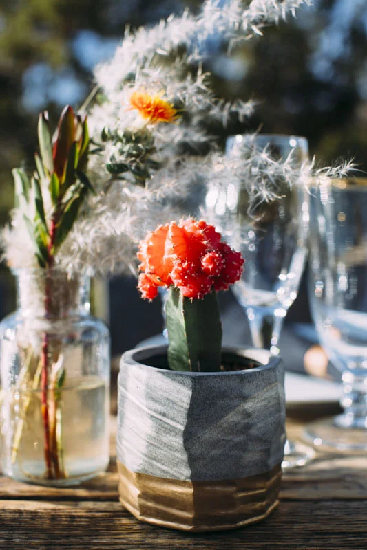 Talawahee Ranch Wedding, Joshua Tree Wedding Venue, Desert Glam Tablescape, Booming cactus, Yucca Valley Desert Wedding, Planning and Design: Art & Soul Events LGBTQ Wedding Planner