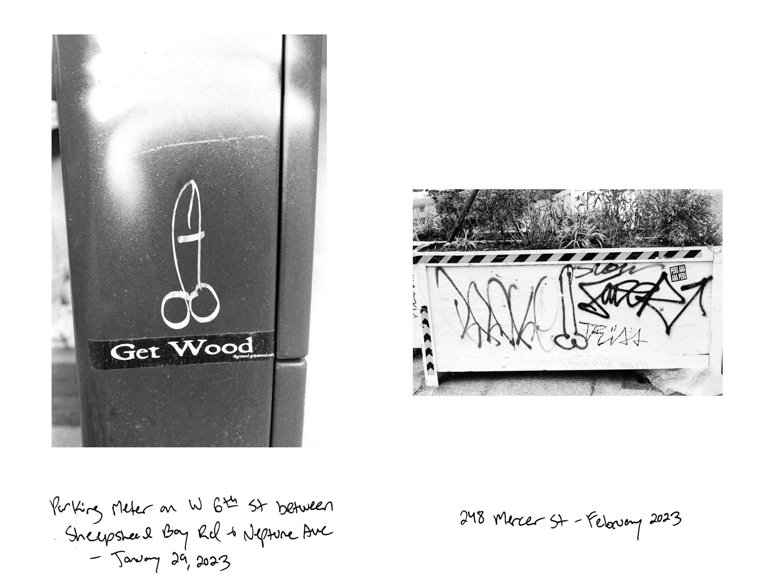 Suck My Dick zine12.jpg