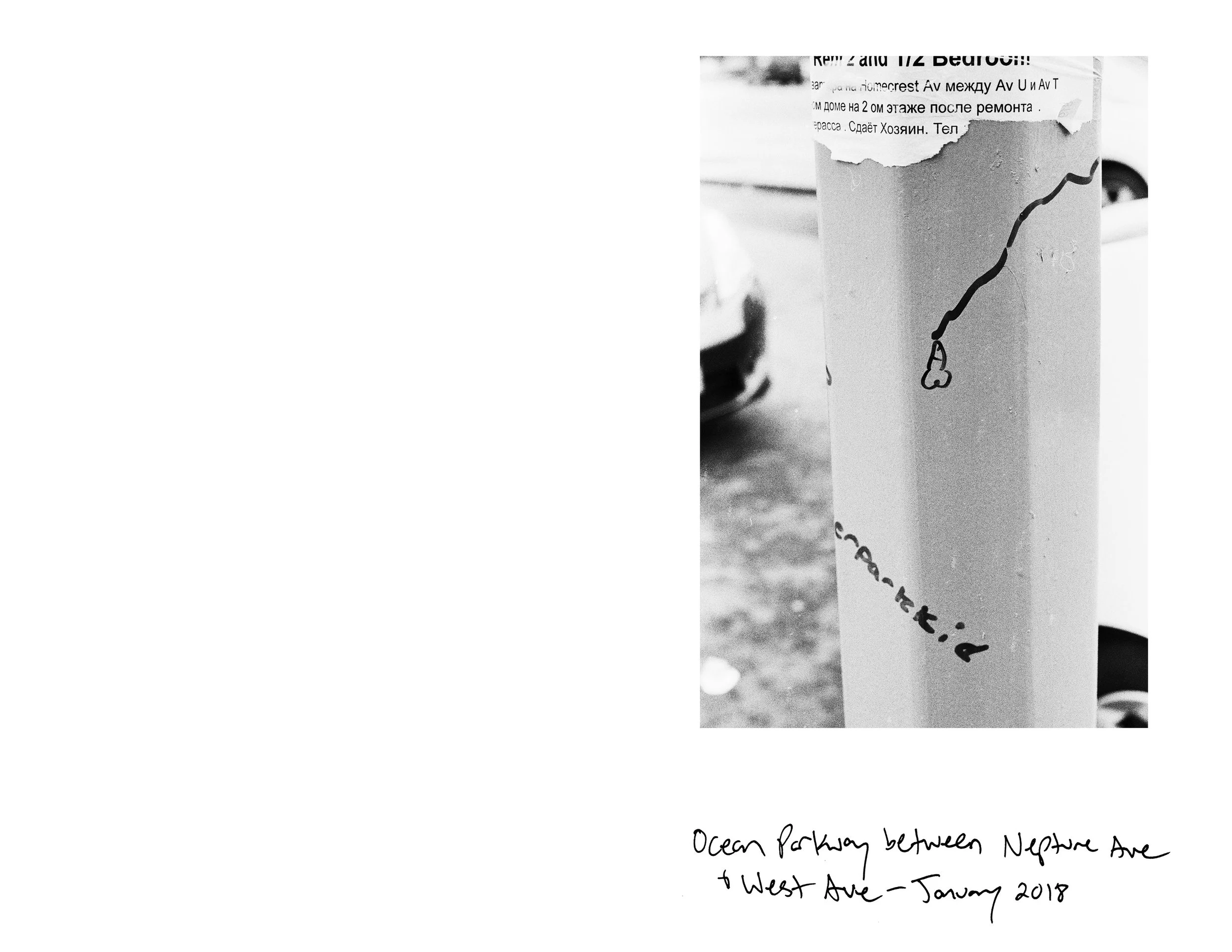 Suck My Dick zine2.jpg