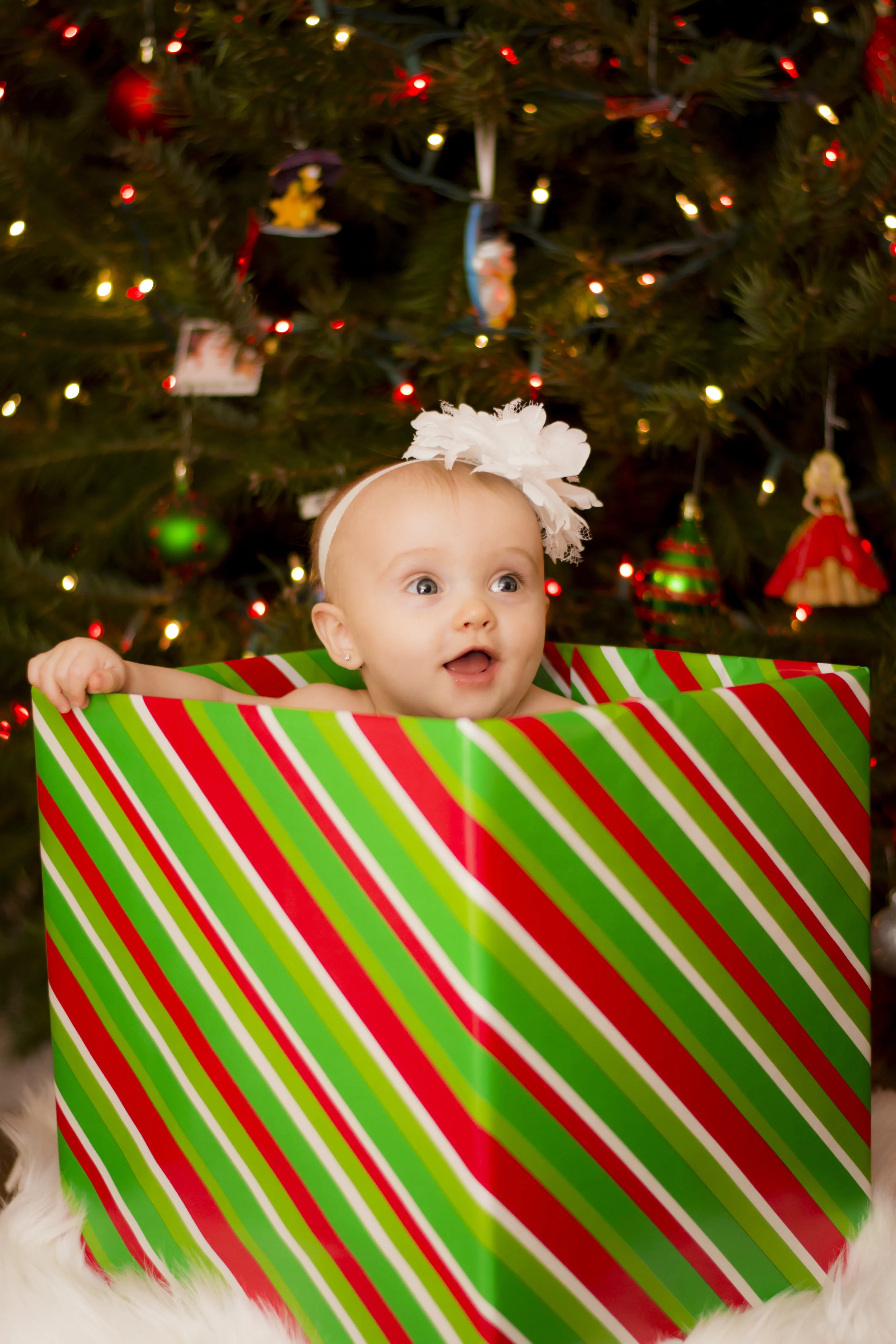 BELLAXMAS15.jpg
