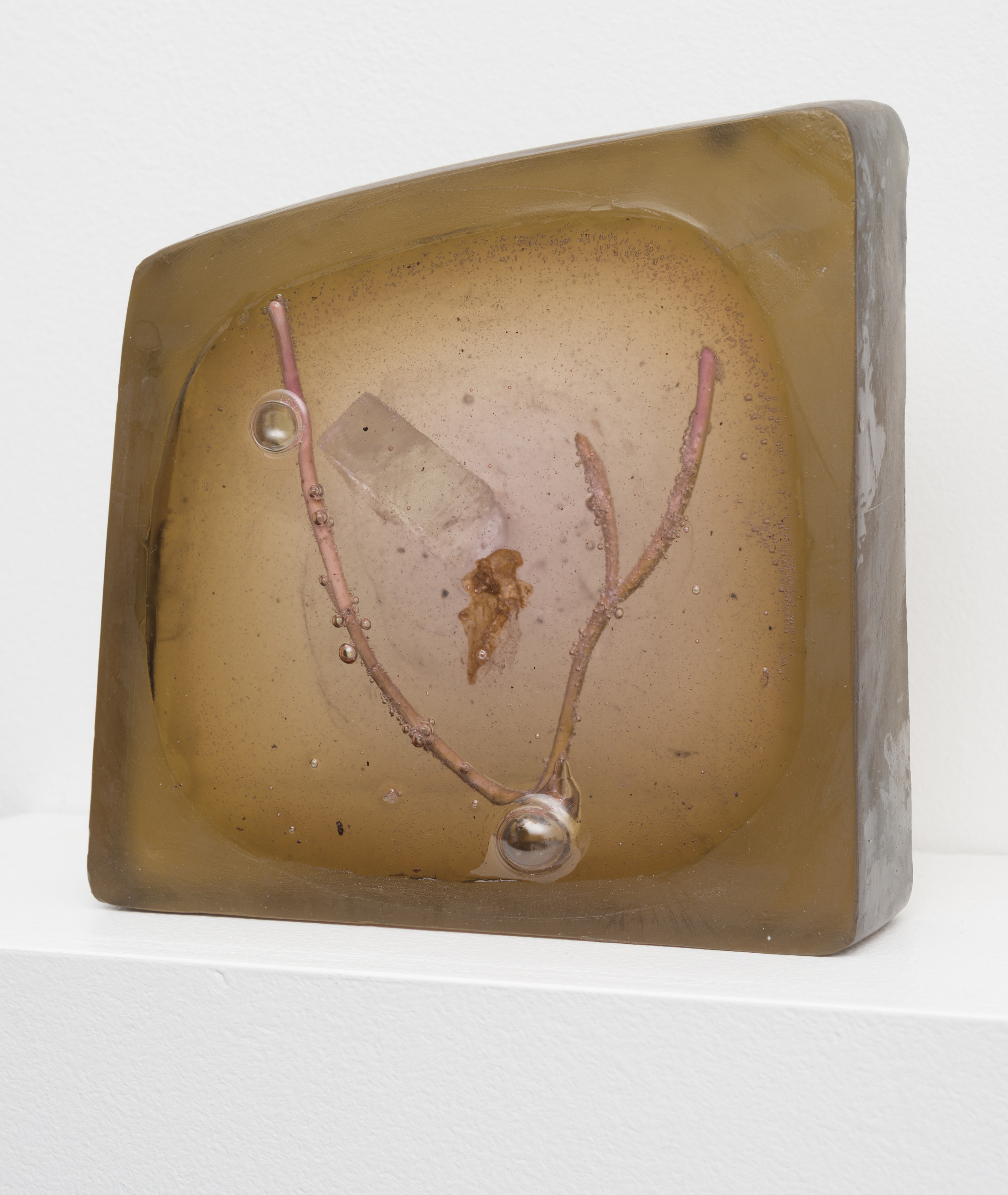 The Vitrification of Vegetation 1 (with Steven Haulenbeek), 2014