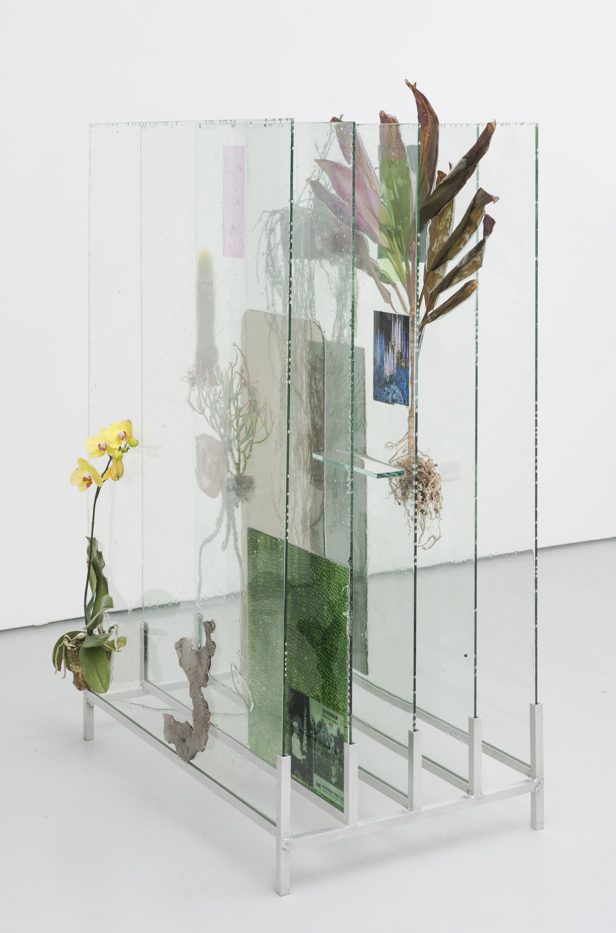  The Museum Archive (dedicated to Edward Steichen's Delphiniums, MOMA 1936), 2014. Glass, resin, plants, beam splitter glass, photo gels, photographic prints and film, 56 x 36 x 22 inches 