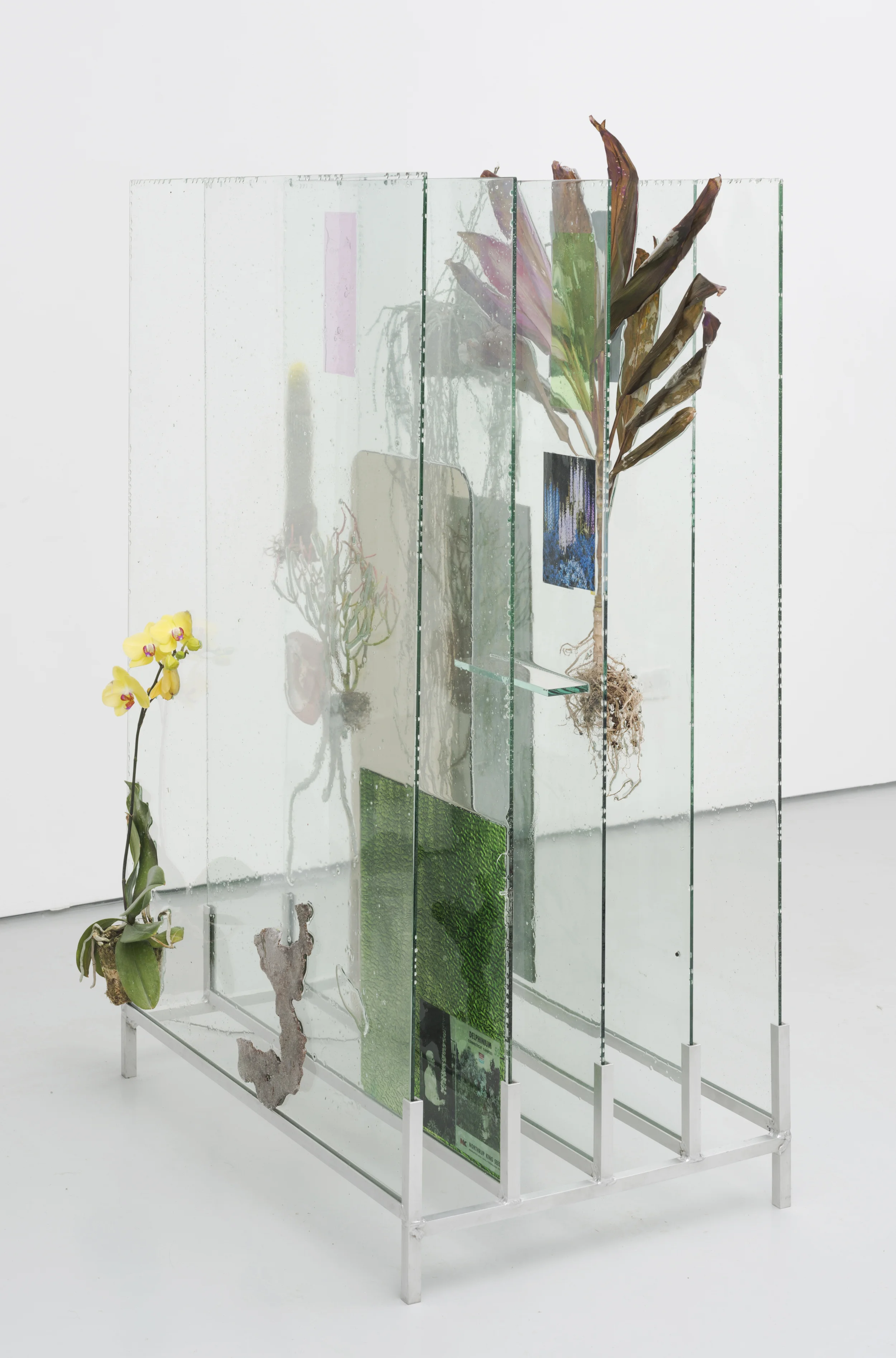The Museum Archive (dedicated to Edward Steichen's Delphiniums, MOMA 1936), 2014. Glass, resin, plants, beam splitter glass, photo gels, photographic prints and film, 56 x 36 x 22 inches