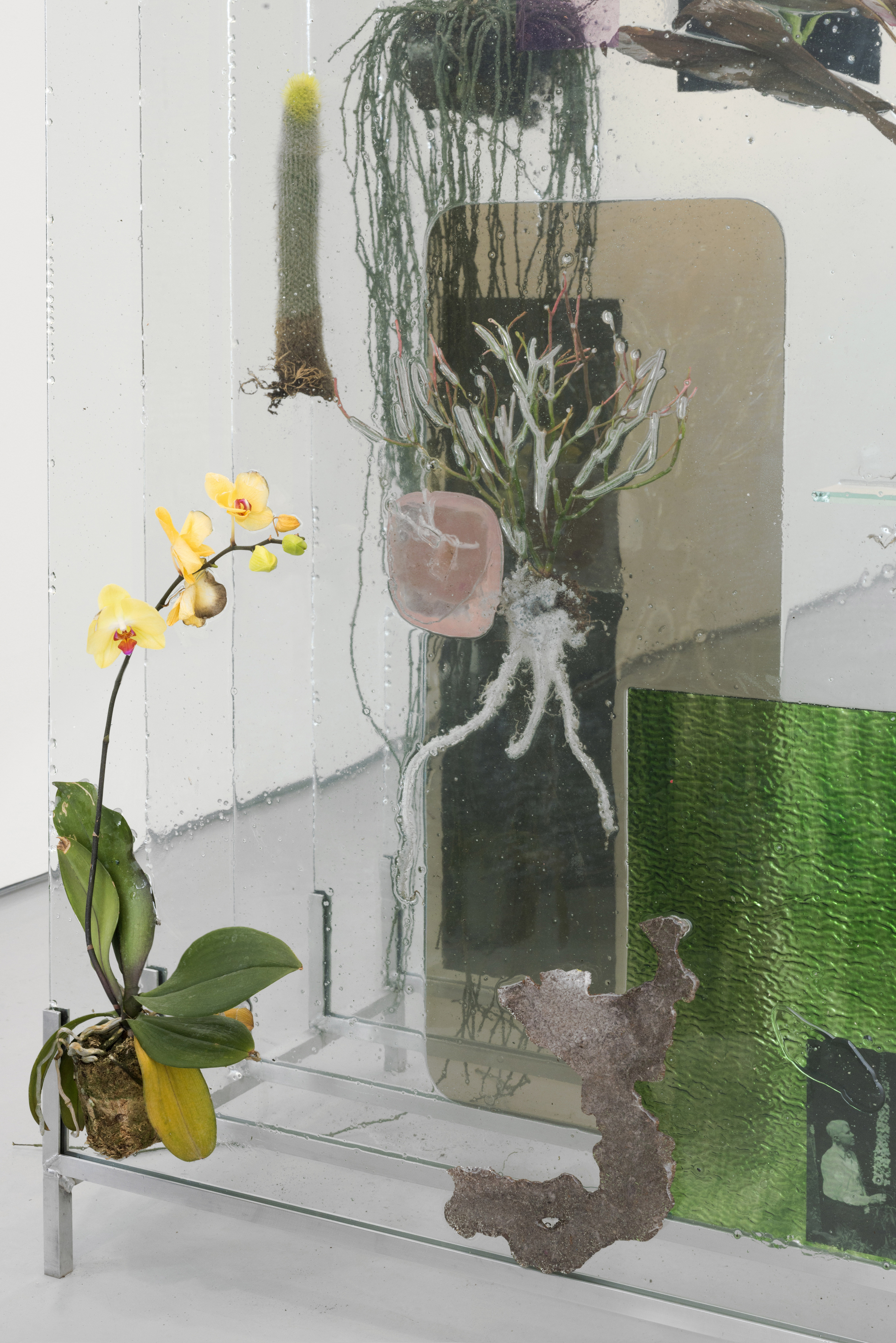 The Museum Archive (dedicated to Edward Steichen's Delphiniums, MOMA 1936), 2014, detail