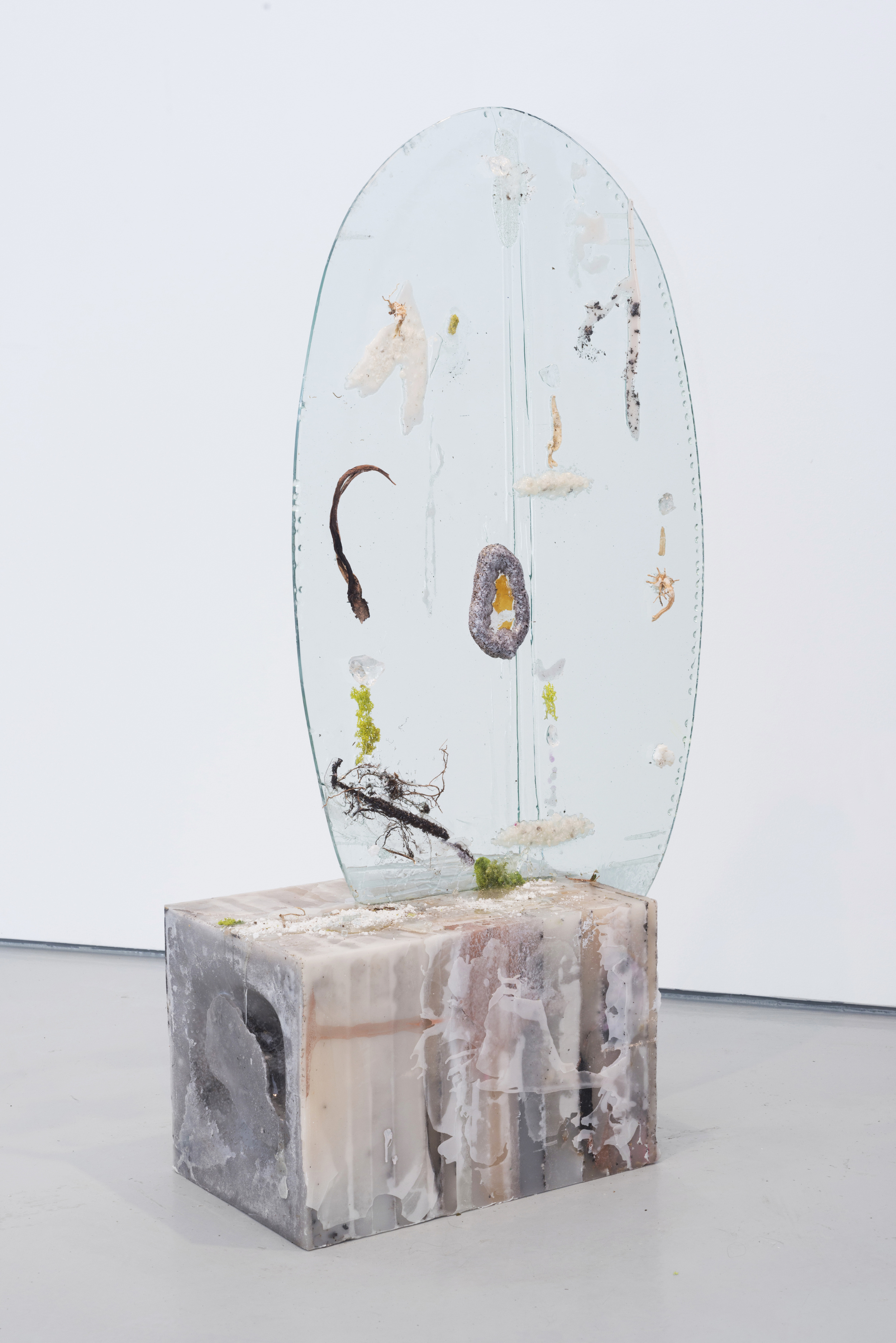  Ellipse with Nitrogen Fixers and Snake Plant Buds, 2013-2014. Glass, wax, resin, plant materials, rock salt, 49 x 26 x 12 3/4 inches&nbsp; 