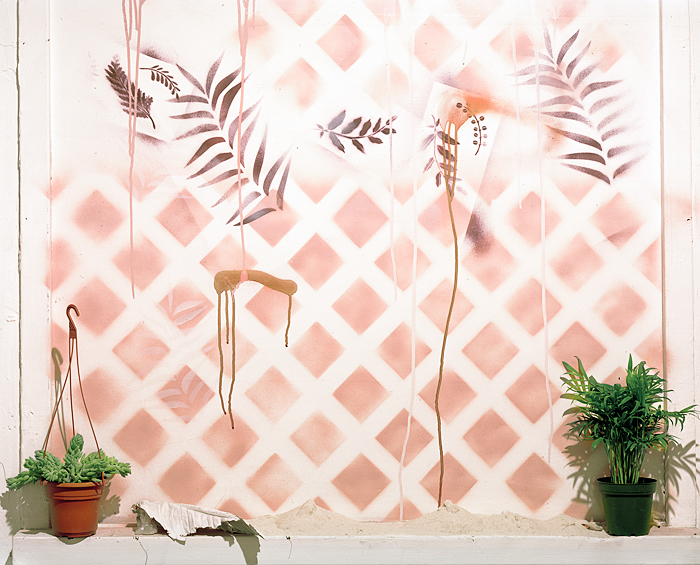 Pink Lattice, Archival Pigment Print, 8.5 x 11 inches, 2010