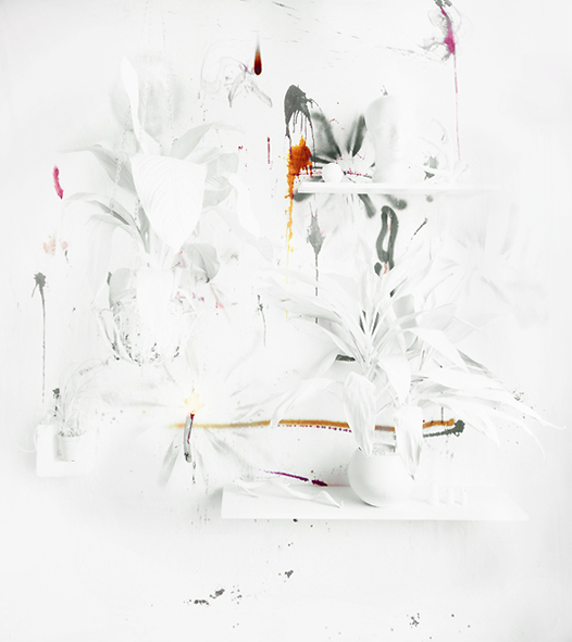 Whitescape, Archival Pigment Print, 42 x 52 inches, 2009