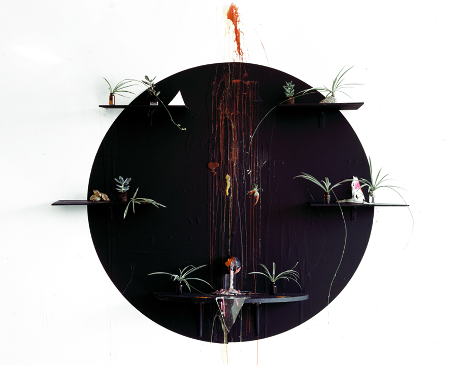  Channeling (Baby Spider Plants), Archival Pigment Print, 40 x 50 inches, 2010 