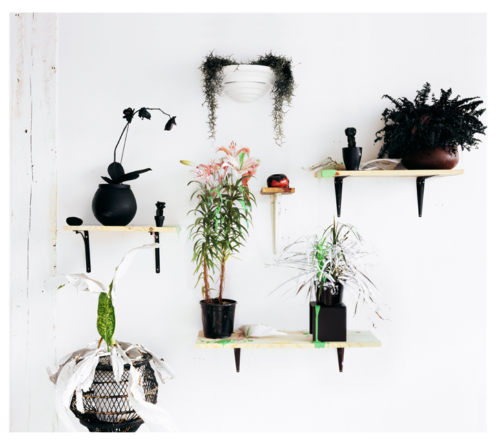 Deconstructed (Rebirth), Archival Pigment Print, 27 x 30 inches, 2009