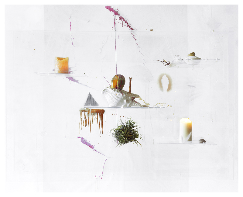  All is One (Mango, Tillandsias, and Sea Salt), Archival Pigment Print, 33 x 37 inches, 2010&nbsp; 