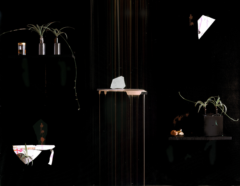 Untitled, 2010