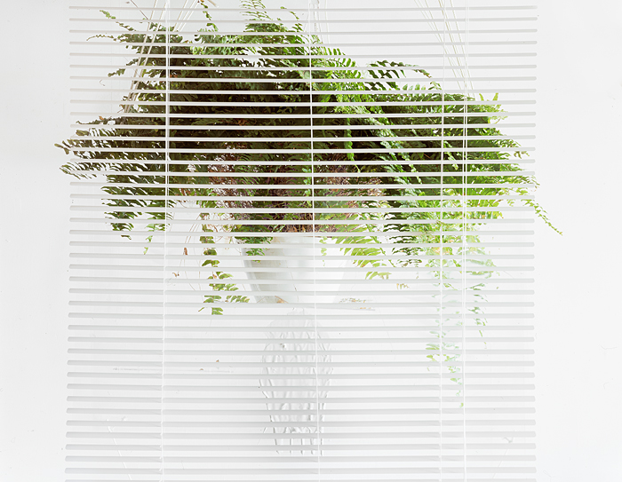 Untitled, 2010