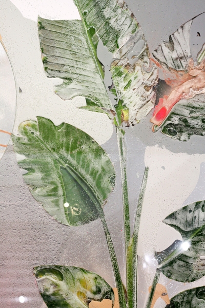  Detail, Pressed Plant (Anaphase), 2012, Philodendron selloum, latex paint, spray paint, glass, resin, mirror 