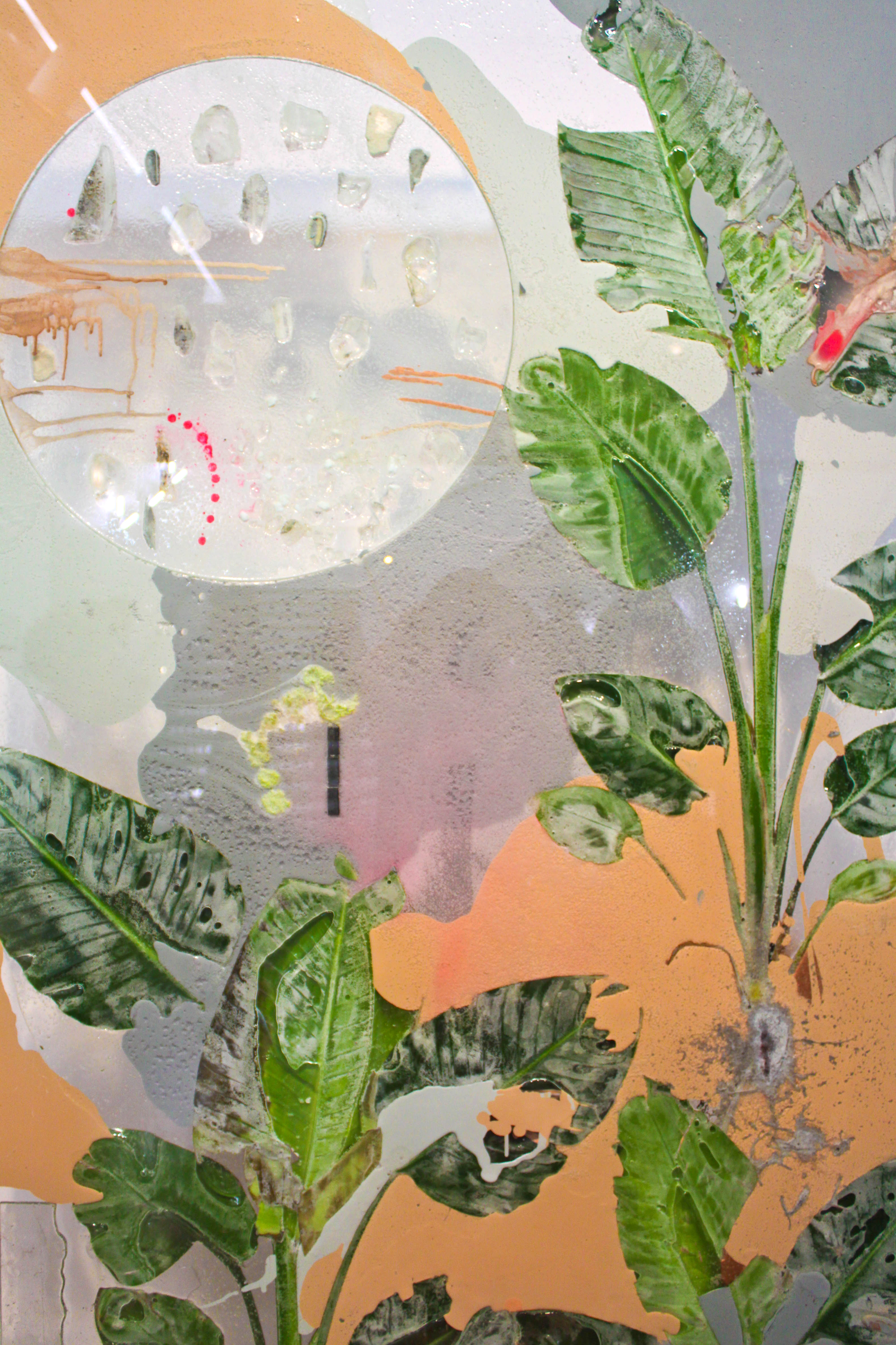 Pressed Plant (Anaphase), 2012, Philodendron selloum, latex paint, spray paint, glass, resin, mirror, 92 x 45 inches 