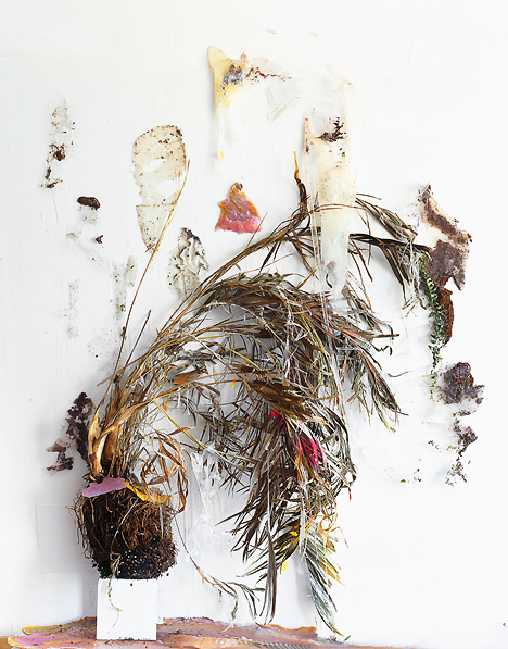  Desiccation of an Arecaceae (Fold), 2012, Archival Pigment Print, 38 x 46 inches, 5/5 + 2 AP 