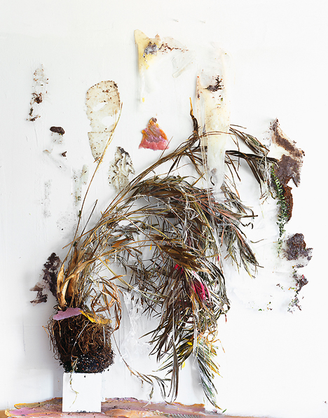 Desiccation of an Arecaceae (Fold), 2012, Archival Pigment Print, 38 x 46 inches, 5/5 + 2 AP