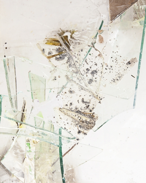 Time to Live in the Scattered Sun #4, 2012, Archival Pigment Print, 9 x 11 inches, 5/5 + 2 AP