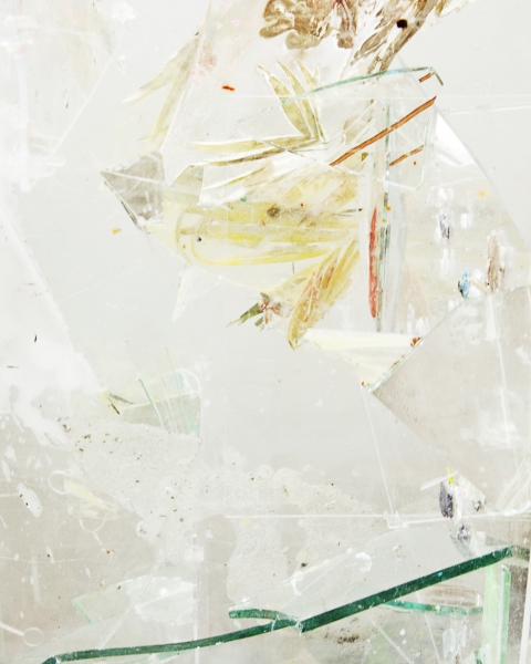 Time to Live in the Scattered Sun #5, 2012, Archival Pigment Print, 9 x 11 inches, 5/5 + 2 AP