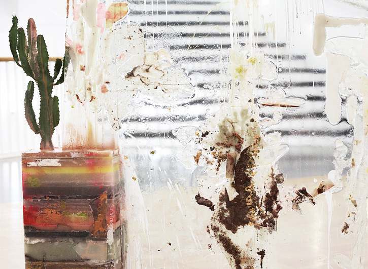 Detail, Herbarium Specimens––An Intersection, 2012, Glass, wax, mirror, resin, cactus, fern, 61 x 43 1/2 x 8 1/2 inches