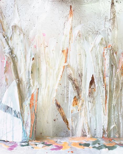  Snake Plant Skins in Wax and Resin, 2012, Archival Pigment Print, 63 1/2 x 51 1/2 inches, Edition of 5 + 2APs 