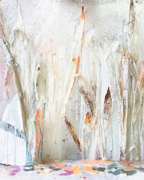 Snake Plant Skins in Wax and Resin, 2012, Archival Pigment Print, 63 1/2 x 51 1/2 inches, Edition of 5 + 2APs