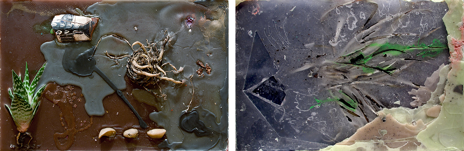 The Radicant, 2011, Wax and mixed media, 18 x 12 x 4 inches