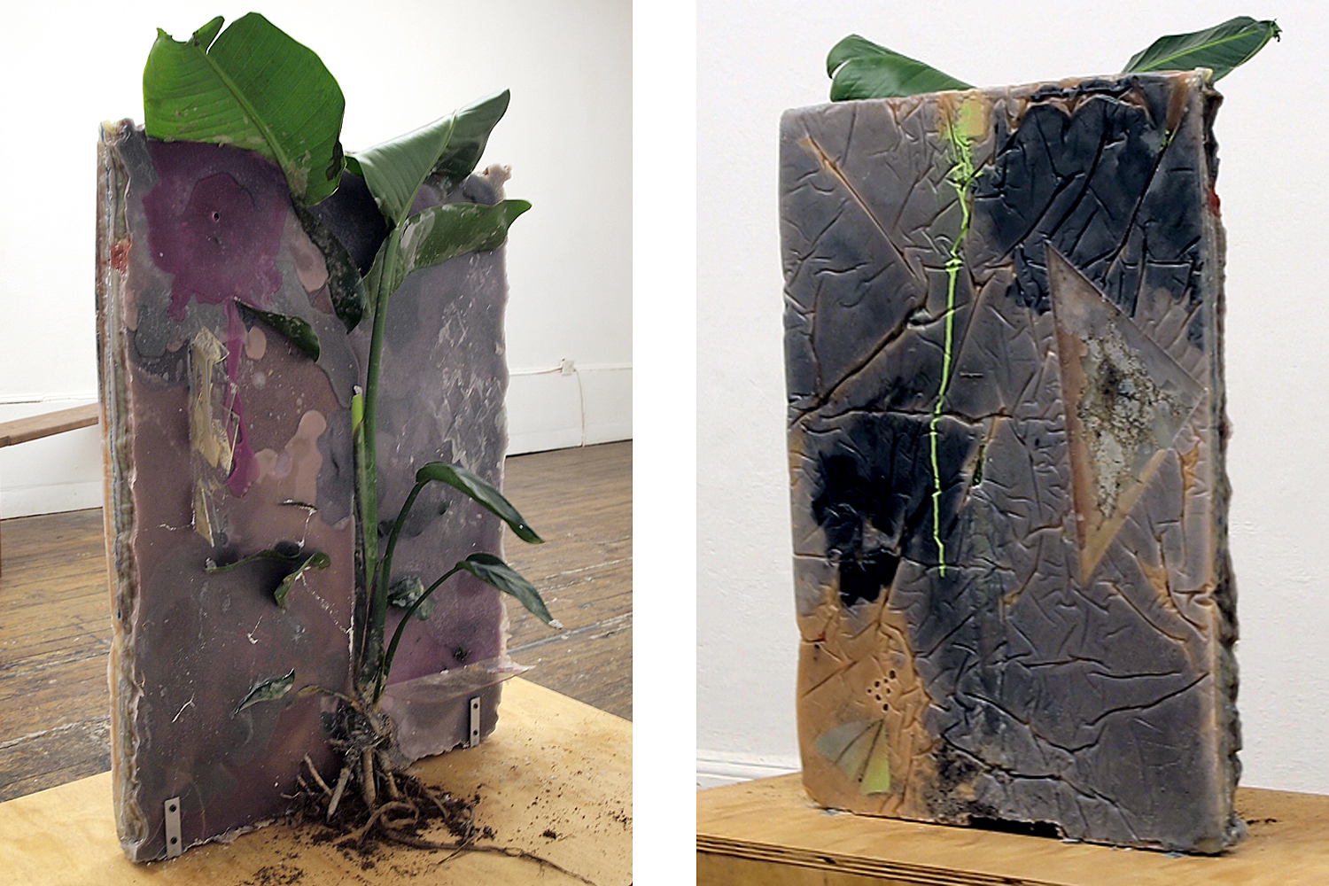 Untitled, 2011, Wax and mixed media 
