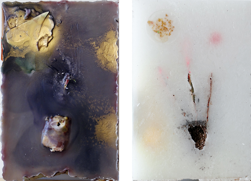 Medicine Plant, 2010, Wax and mixed Media, 12 x 18 x 6 inches 