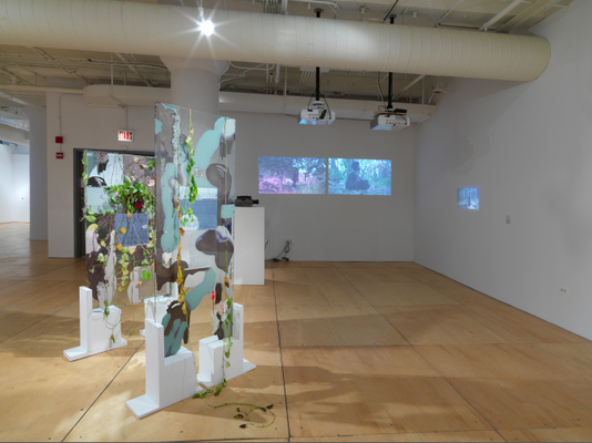  Ghost Nature, Gallery 400 at University of Illinois at Chicago, 2014 