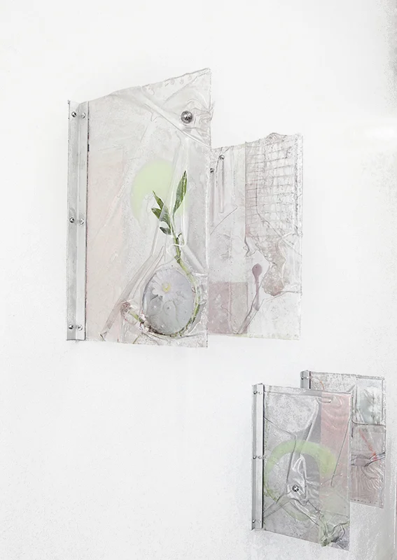 An Altered State (peyote and poppies), uv prints on vinyl, dielectric glass, burner screen, netting, acrylic, ball bearings, bamboo, aluminum braces, 2015