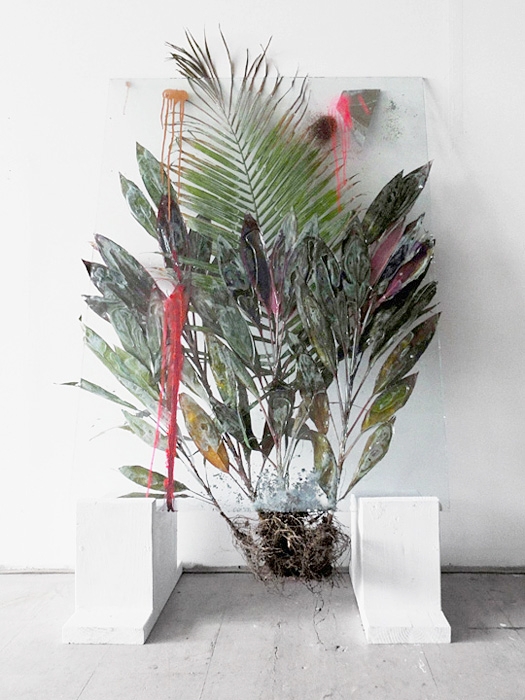  Untitled, 2011, Glass, resin, plant, mixed media, 36 x 58 inches&nbsp; 
