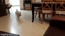 Couch.gif