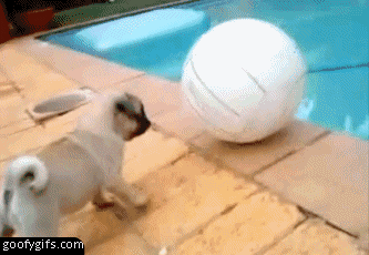 Pool ball.gif