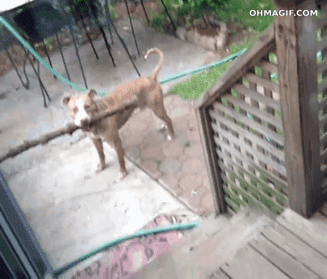 Stick.gif