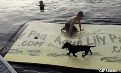 Dock jump.gif