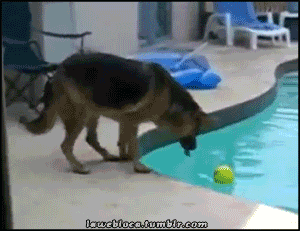 Pool slip.gif