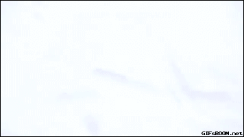 snow plop.gif