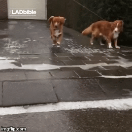 Ice Slide 2.1.gif