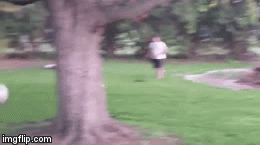 znirj.gif