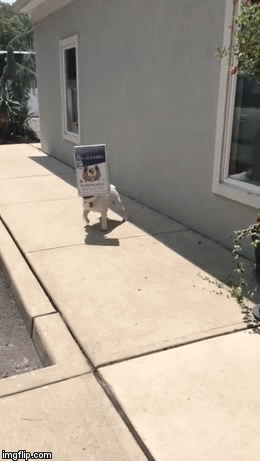zrt7r.gif