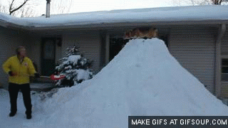 snow flip.gif