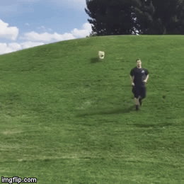 124s4y.gif