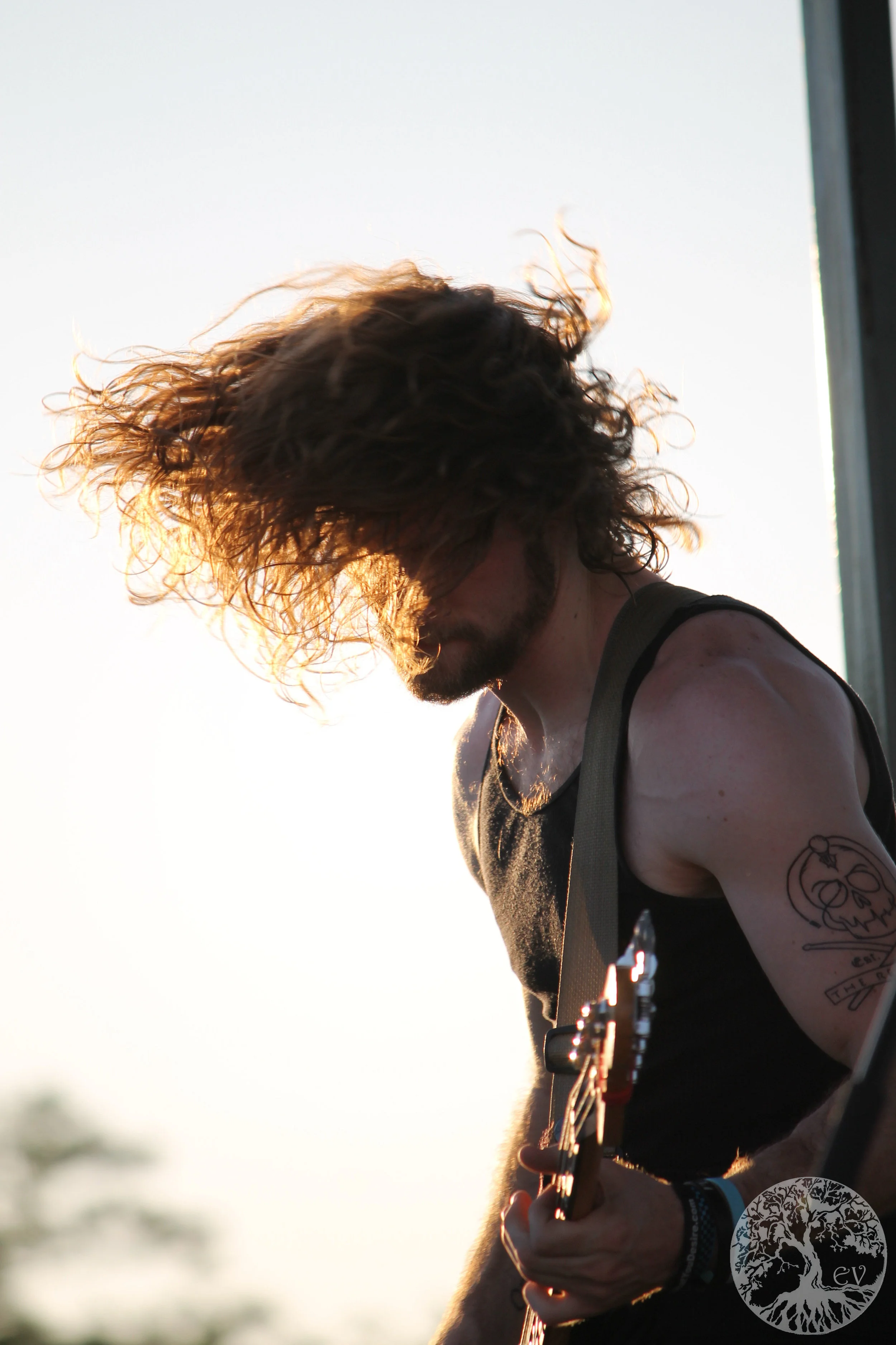 Brian Link - Whiskey of the Damned