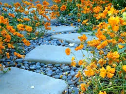 images (7).jpg