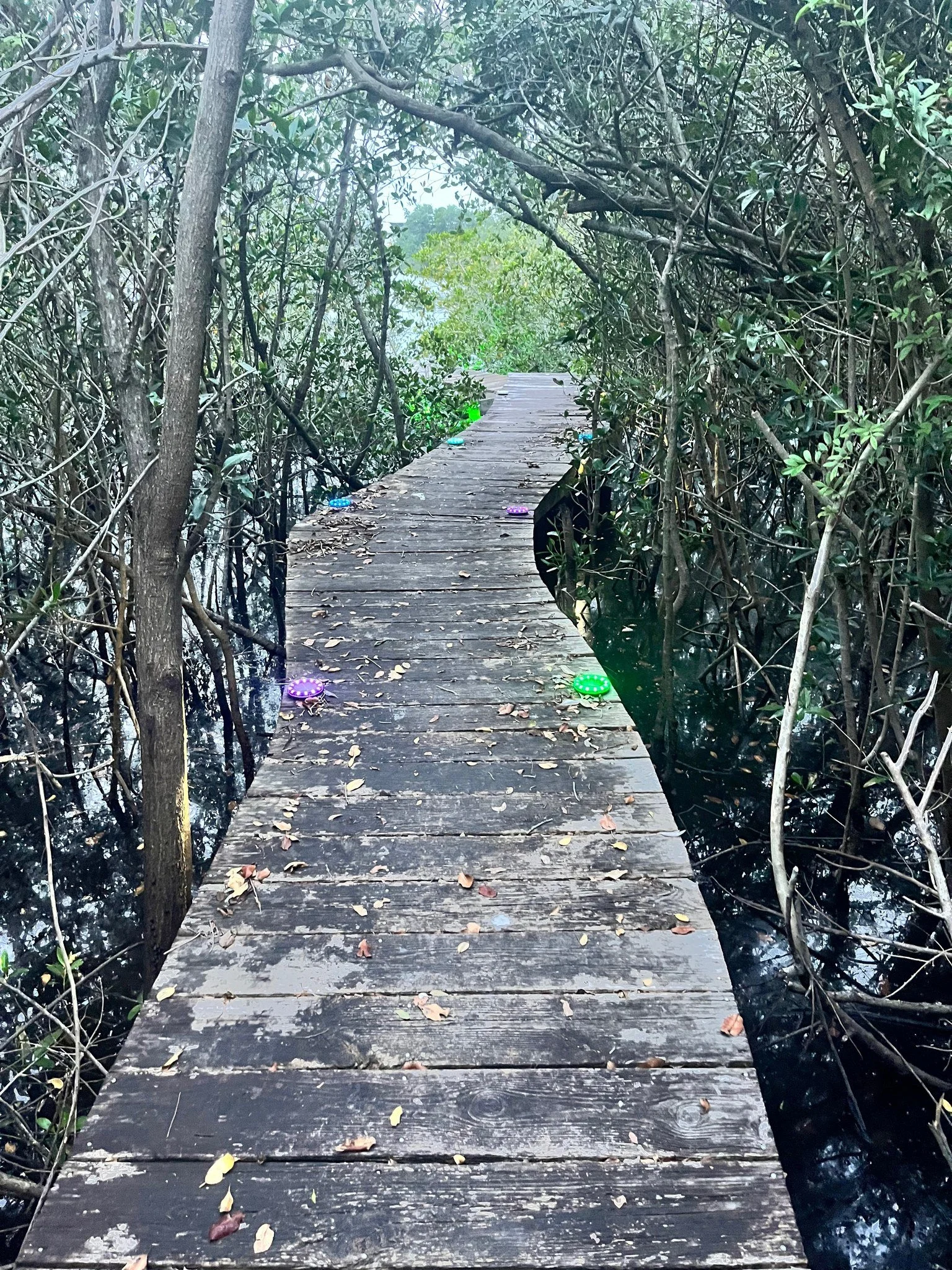 A Path To Wellness