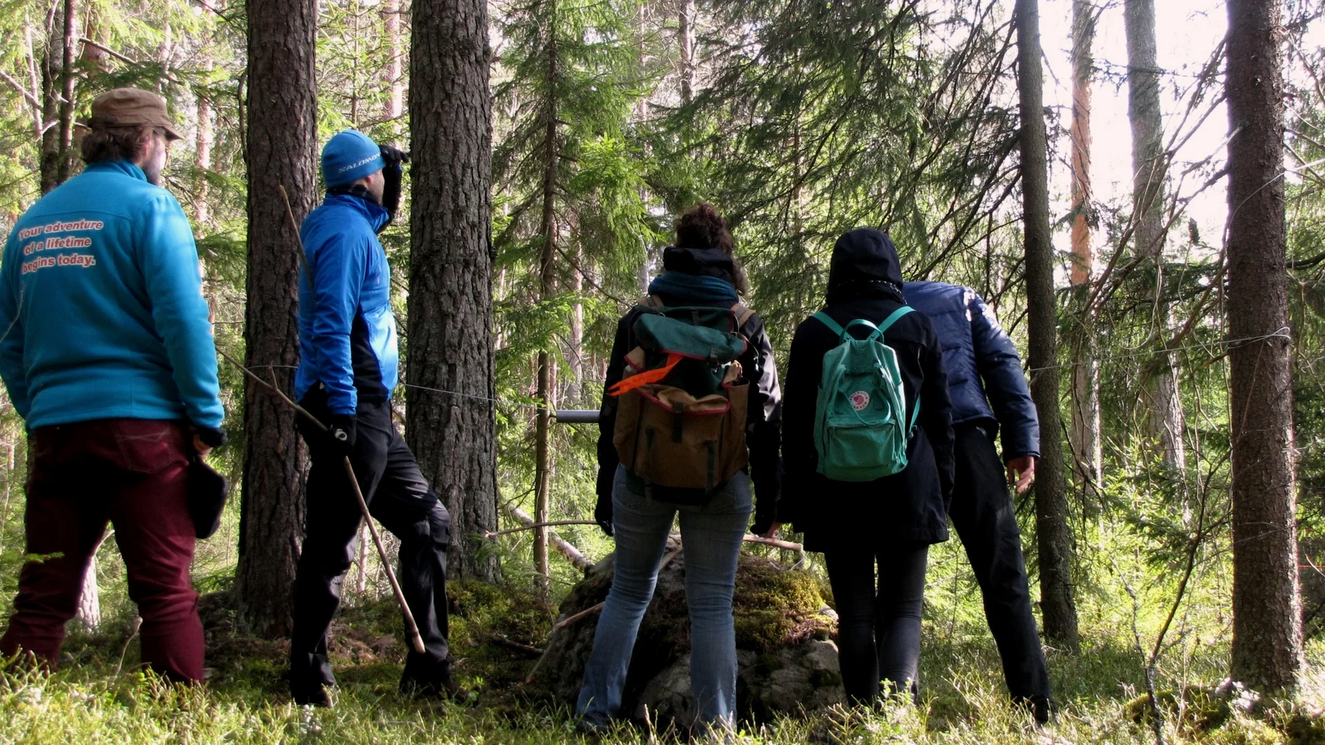 forest-escape-008.jpg