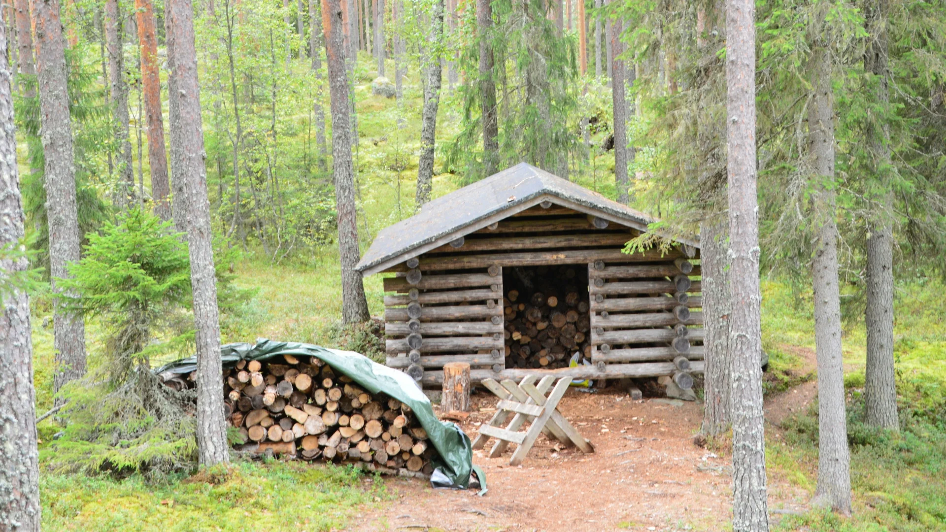 day-hike-at-swamp-protection-area-siikaneva-018.jpg