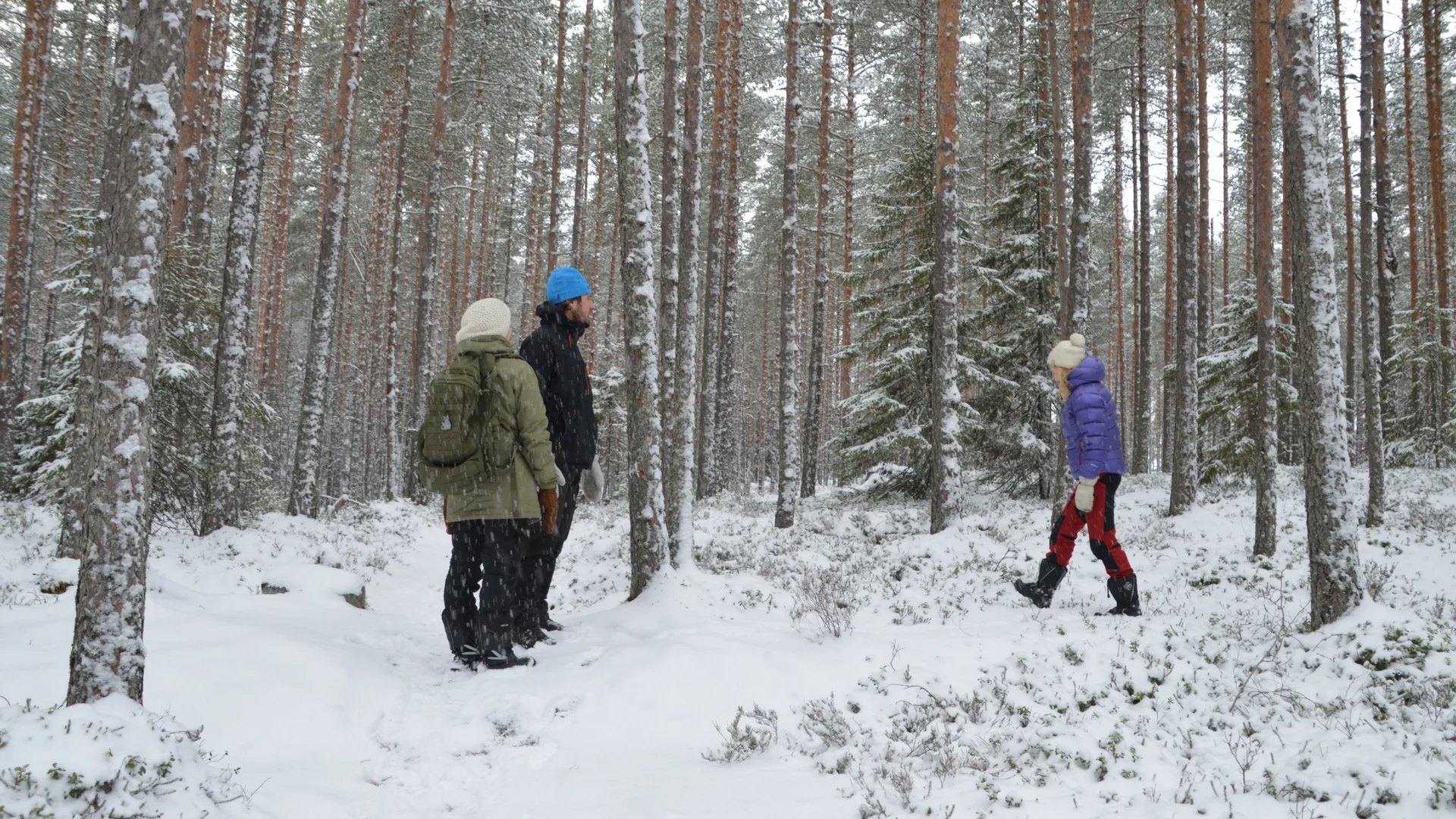 day-hike-at-swamp-protection-area-siikaneva-021.jpg